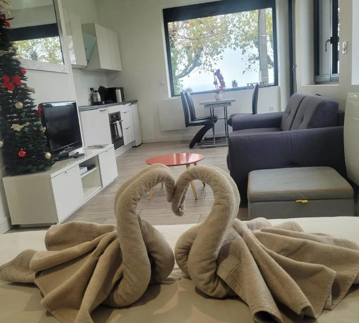 Appartement Cozy 1 Panoramique Lac Leman Thonon-Les-Bains